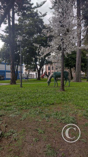 IMG_20221120_144139491_HDR