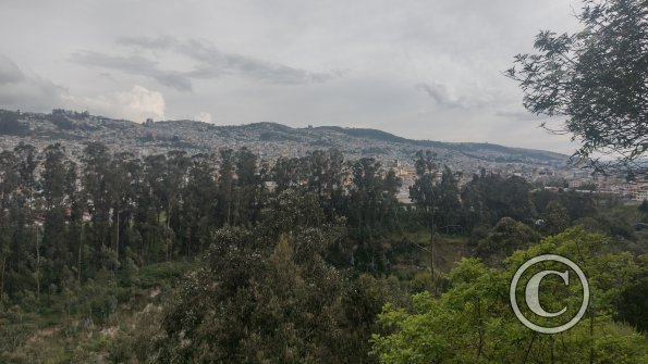 IMG_20221123_161318767_HDR