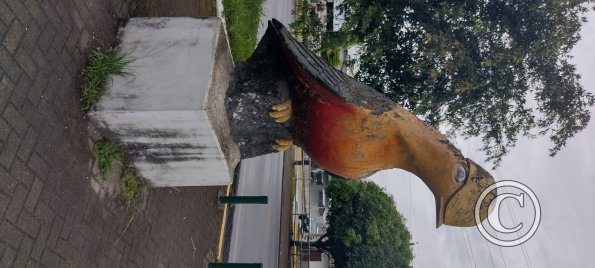 E45A median at Calle G (3)