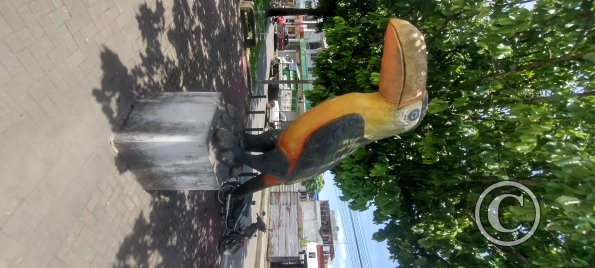 E45A median at Las Amazonas (5)