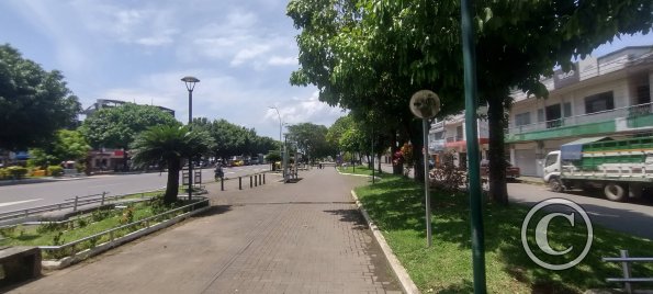 E45A median at Las Amazonas (6)