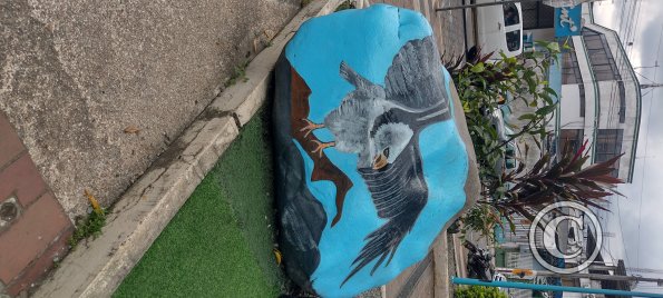 Parque Central at E45A and Las Amazonas