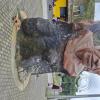 monument at E20 and E45 (3)