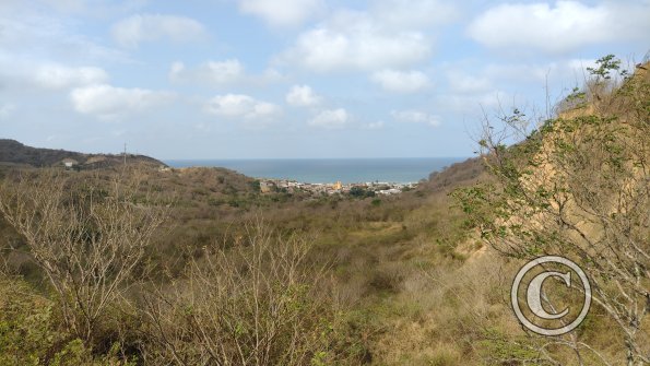 IMG_20221218_092555734