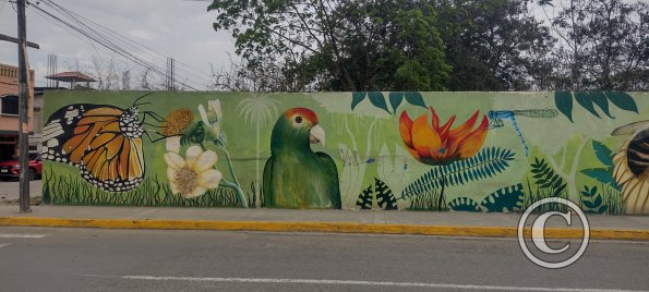 IMG_20230114_162609877_HDR