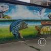 IMG_20230115_150402517_HDR