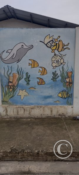 IMG_20230115_150848527_HDR