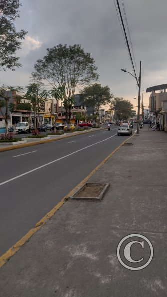 IMG_20221124_163018750_HDR