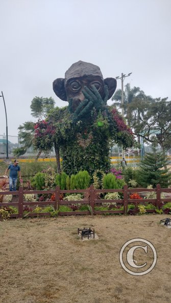 IMG_20221125_115649355_HDR