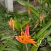 IMG_20221125_120406137_HDR