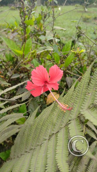 IMG_20221125_120447639