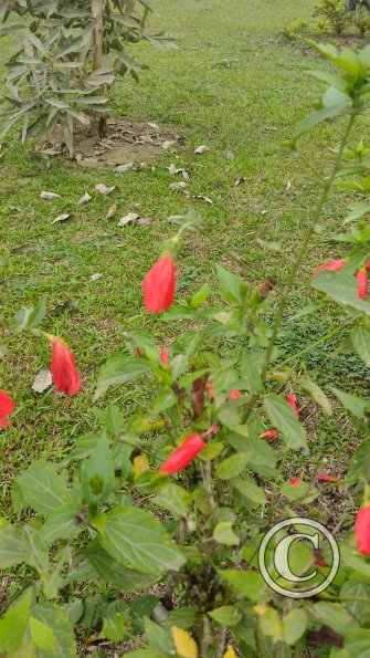 IMG_20221125_120501573