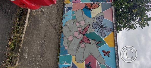 Mural on 8 de Diciembre near Maria Troncatti (4)