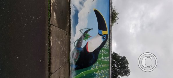 Mural on Maria Troncatti near 8 de Diciembre (2)
