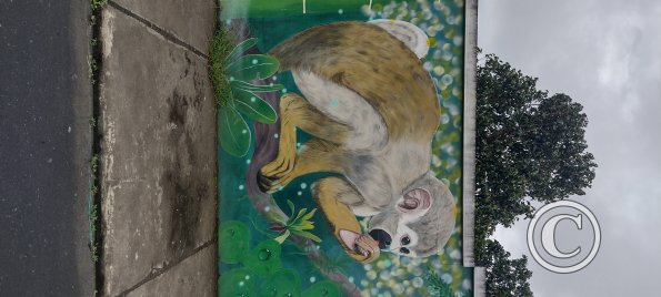 Mural on Maria Troncatti near 8 de Diciembre (3)