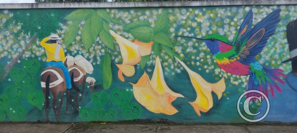 Mural on Maria Troncatti near 8 de Diciembre (4)