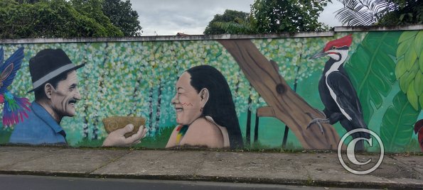 Mural on Maria Troncatti near 8 de Diciembre (5)