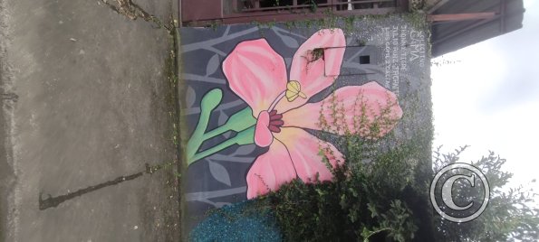 Mural on Pastor Bernal near Domingo Comin