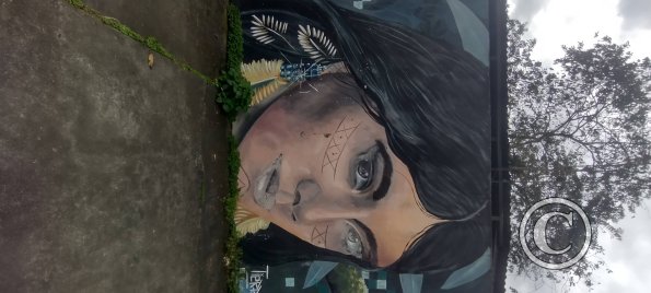 Mural on Vitorino Abarca near Enrique Arizaga (2)