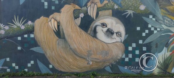 Mural on Vitorino Abarca near Enrique Arizaga (3)
