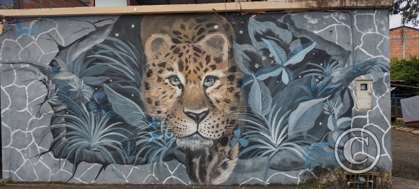 Mural on enrique Arizaga near Vitorino Abarca