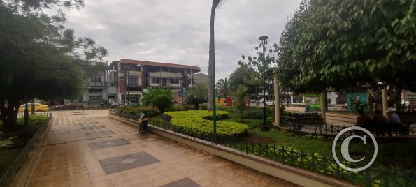 Parque Central at Domingo Comin and Pastor Bernal (4)
