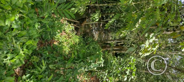 Stream Sungaime near Via a Tambache