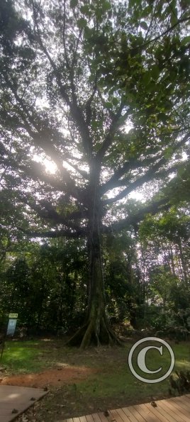 IMG_20230911_152757034_HDR