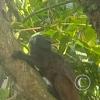 IMG_20230911_153128685