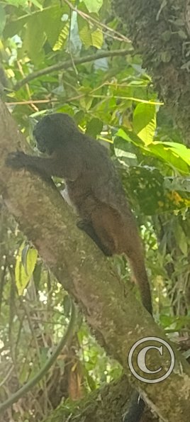 IMG_20230911_153136871