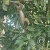 IMG_20230911_154018619