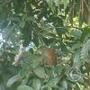 IMG_20230911_154021725