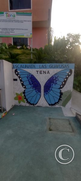 IMG_20230911_170504715_HDR