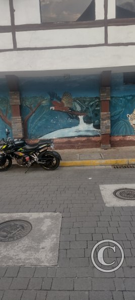 IMG_20230911_174511545_HDR