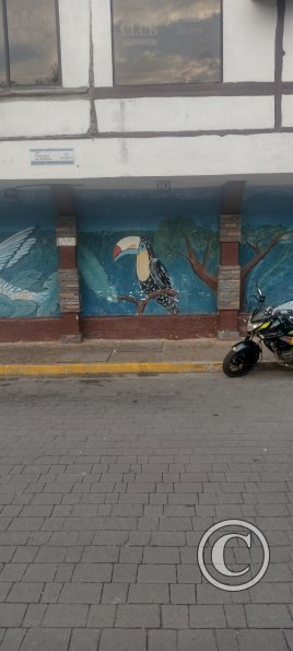 IMG_20230911_174520768_HDR