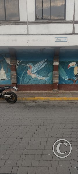 IMG_20230911_174528080_HDR