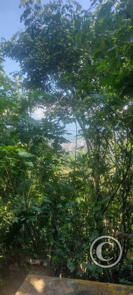 IMG_20230912_100649816_HDR