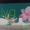 IMG_20230912_133535283