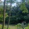 IMG_20230912_143829377_HDR