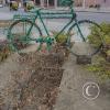 IMG_20221206_151619592_HDR
