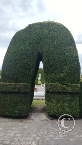 IMG_20221111_154415653