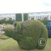 IMG_20221111_154605280