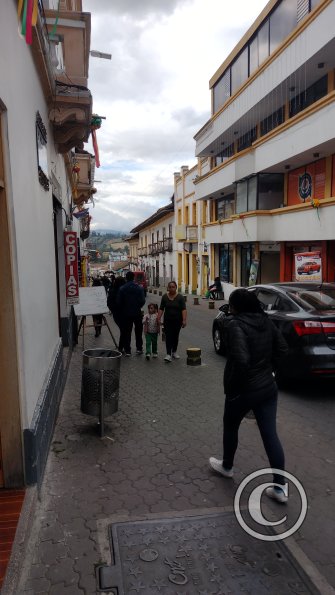 IMG_20221111_163105728
