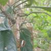 IMG_20230112_163509984