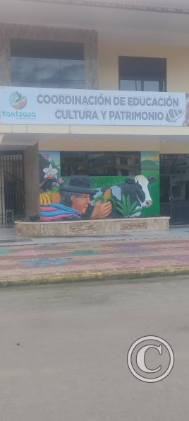 Mural across from Parque San Francisco on Gral Ruminagui