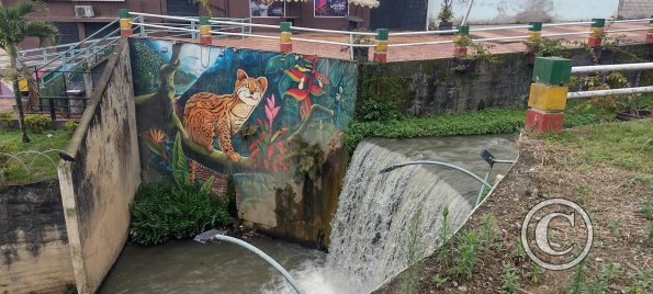 Mural at Quebrada (Creek) Yantzaza