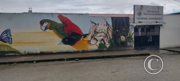 Mural on Armando Arias near Machinatza (2)