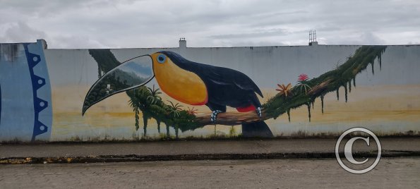 Mural on Armando Arias near Machinatza