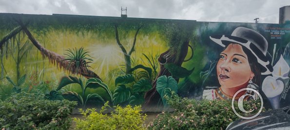 Mural on Machinatza near Armando Arias (2)