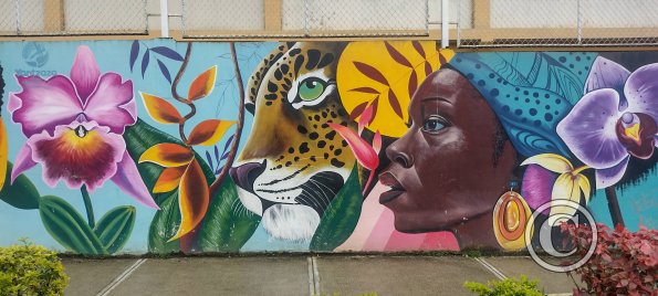 Mural on Machinatza near Armando Arias (3)